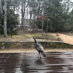 Meet your Posher, Katerina